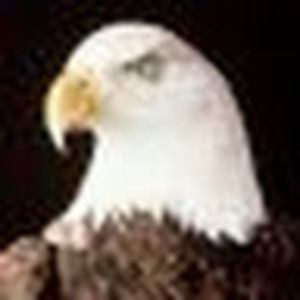 Meet your Posher, Timothy